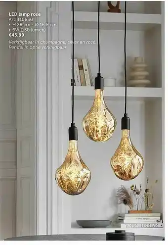 Zelfbouwmarkt Led Lamp Rose aanbieding