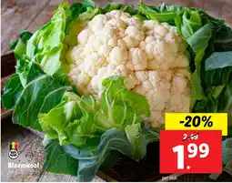 Lidl Bloemkool aanbieding