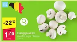 ALDI Champignons fins 250 g aanbieding