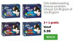 Intratuin Felix kattenvoeding aanbieding