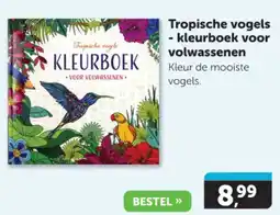 Tropische vogels kleurboek voor volwassenen