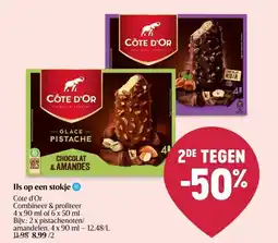 Delhaize IJs op een stokje aanbieding