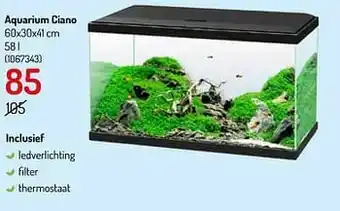 Aquarium ciano
