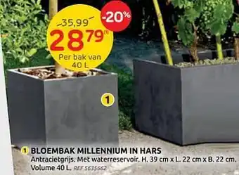 Brico Bloembak millennium in hars aanbieding