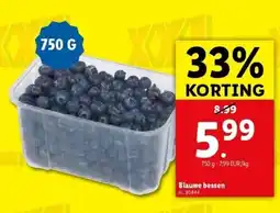 Lidl Blauwe bessen aanbieding
