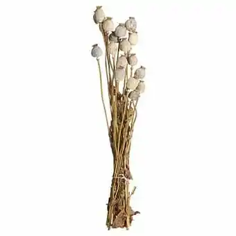 Kwantum Monobos Papaver Naturel aanbieding