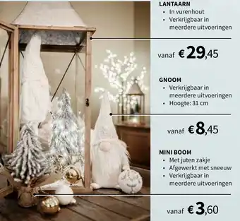 Horta Lantaarn, Gnoom, Mini Boom aanbieding