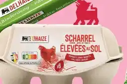 Delhaize Eieren van kippen met vrije uitloop aanbieding