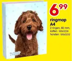 ringmap A4