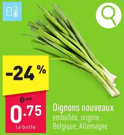 Oignons nouveaux