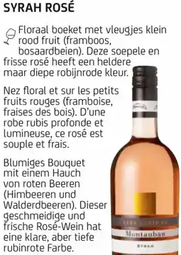 BelBev YVES-LOUIS DE MONTAUBAN SYRAH ROSÉ aanbieding