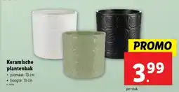 Lidl Keramische plantenbak aanbieding
