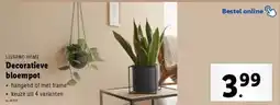 Lidl Decoratieve bloempot aanbieding