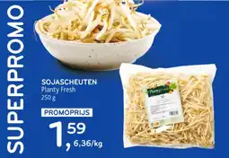 SOJASCHEUTEN Planty Fresh 250 g