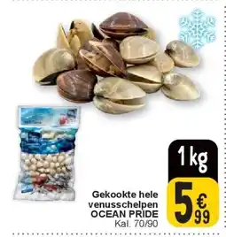Cora Gekookte hele venusschelpen OCEAN PRIDE aanbieding