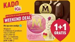 Delhaize IJs op een stokje aanbieding