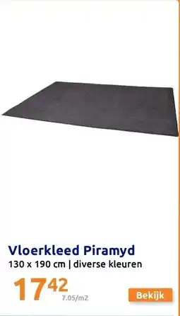 Action Vloerkleed Piramyd aanbieding