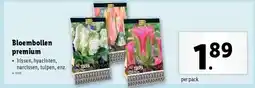 Lidl Bloembollen premium aanbieding