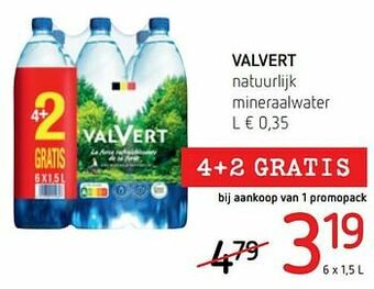 Valvert natuurlijk mineraalwater