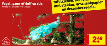 Kruidvat Vogel, pauw of duif op clip aanbieding