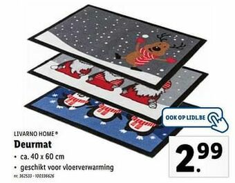 Lidl Deurmat aanbieding