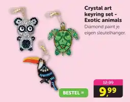 Boekenvoordeel Crystal art keyring set Exotic animals aanbieding