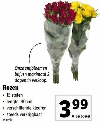 Lidl Rozen aanbieding