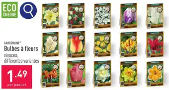 ALDI GARDENLINE Bulbes à fleurs aanbieding