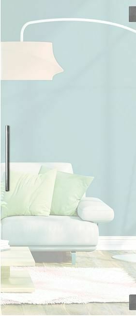 Zelfbouwmarkt Glazen Deur 8mm Verzuurd Mat Night 780mm-set Rond Inox aanbieding