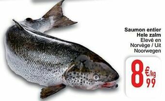 Cora Saumon entier hele zalm aanbieding
