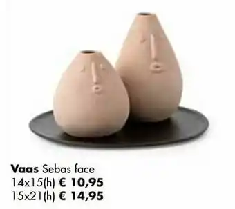 Multi bazar Vaas sebas face aanbieding