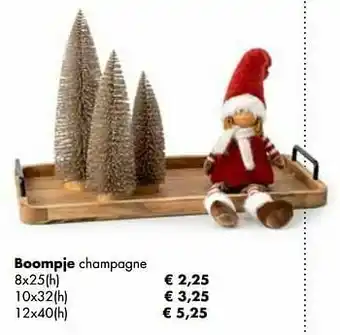 Multi bazar Boompje champagne aanbieding