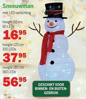 Sneeuwman