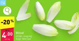 ALDI Witloof aanbieding