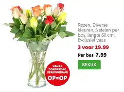 Rozen