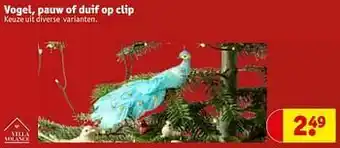 Kruidvat Vogel pauw of duif op clip aanbieding