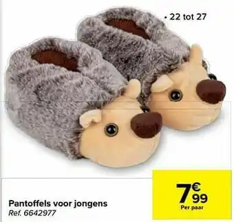 Carrefour Pantoffels voor jongens aanbieding