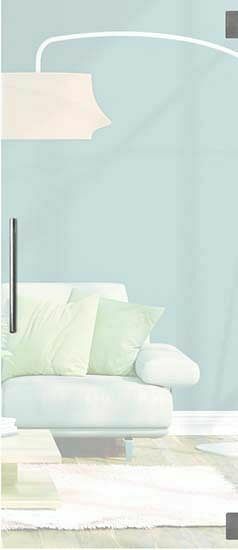 Zelfbouwmarkt Glazen Deur 8mm Verzuurd Mat Night 730mm-set Vierkant Inox Look aanbieding