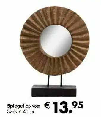 Multi bazar Spiegel op voet svolves aanbieding