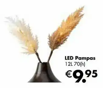 Multi bazar Led pampas aanbieding