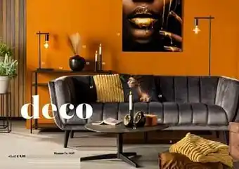 Multi bazar Kussen de wolff aanbieding