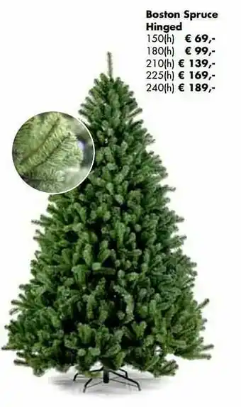 Kerstboom boston spruce hinged