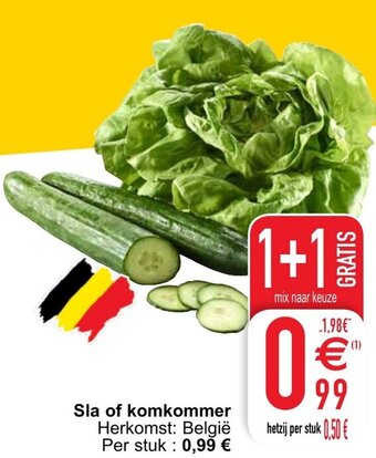 Cora Sla of komkommer aanbieding