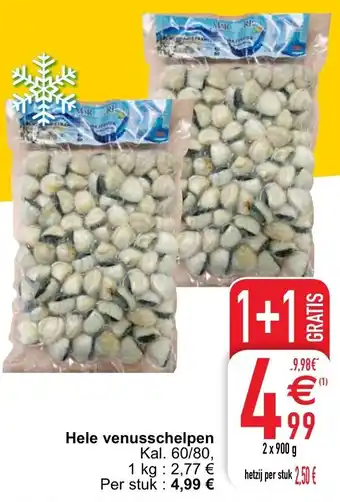 Hele venusschelpen