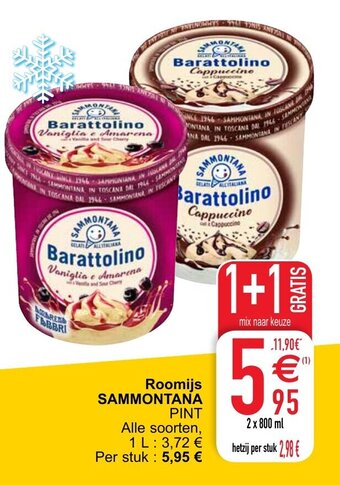 Cora Roomijs aanbieding