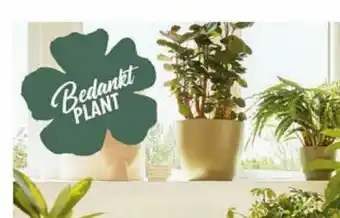 Bedankt Plant