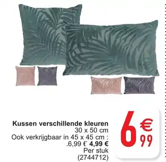 Cora Kussen verschillende kleuren aanbieding