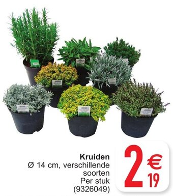 Cora Kruiden aanbieding