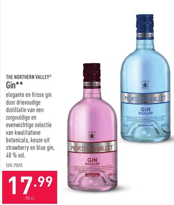 ALDI Gin aanbieding
