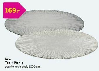 Leen Bakker Tapijt pionic aanbieding